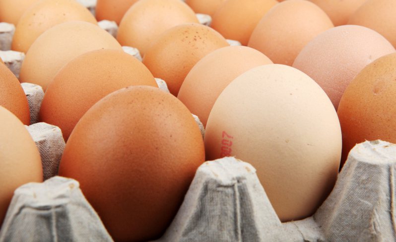許多年輕人「腰不粗、體重不重卻膽固醇過高」，詳細問診後他們都「愛吃蛋」。情境示意圖。圖／Ingimage