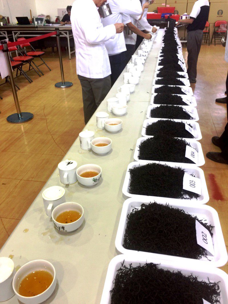 日月潭紅茶評鑑今天起開始競賽，競爭最激烈的台茶18號紅玉，將拉開400多位報名者間的較量。記者黑中亮／攝影