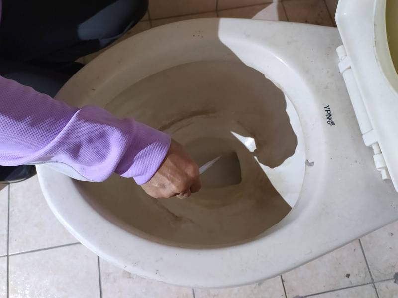 台南市登革熱防治中心提醒民眾，沒用或少用的馬桶請上蓋。讓病媒蚊無法下卵。圖／南市衛生局提供