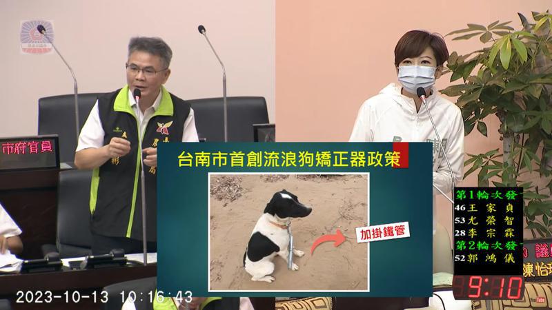 台南市首創為流浪狗加掛「鐵管」為矯正器的政策，議員陳怡珍在議會質詢認為有觀感差問題。圖／陳怡珍提供
