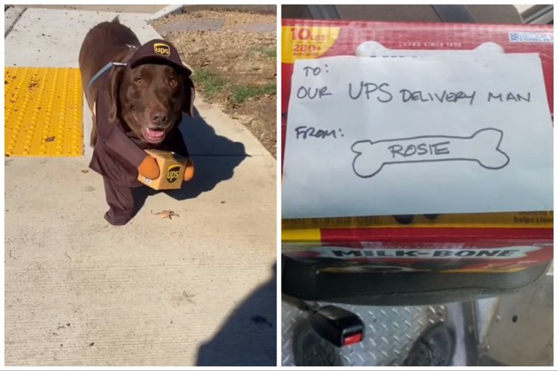 貨運司機長年接觸的客戶家狗狗過世，飼主留下禮物和紙條給他（右），左圖為這名司機養的狗狗Charlie。圖取自抖音