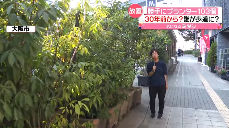 大阪難波附近某條走道擺了103個不明盆栽，其中許多植物都已經長得比人還要高。圖擷自youtube