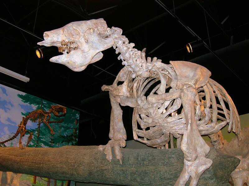 科学家透过电脑模拟6600万年前陨石撞击地表，造成恐龙等大量生物死亡。（Photo by Patti on Flickr under C.C. License）(photo:UDN)