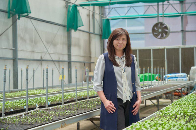 農友種苗研發長張佳惠指出，為保持核心競爭力、不讓研發成果外流，農友種苗的品種研育、親本採種仍在臺灣進行。