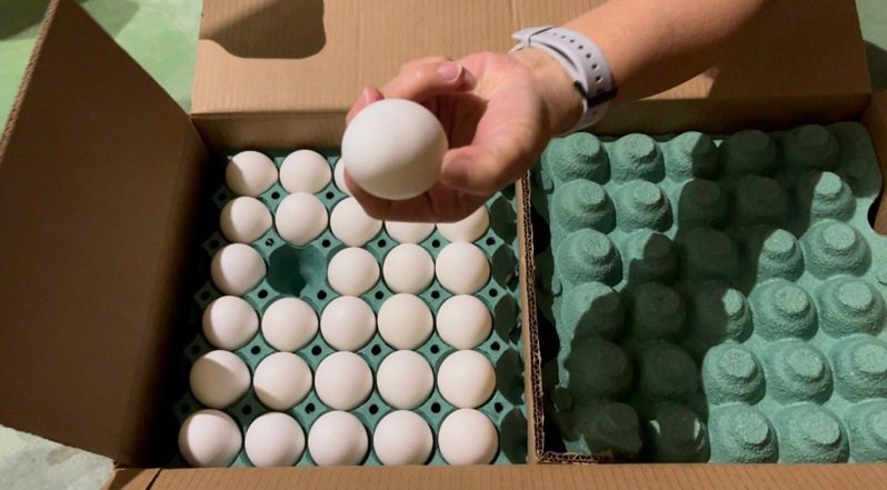 根據農業部官方網站的最新資料顯示(11月13日)，進口雞蛋庫存6016萬顆，待銷毀為5580萬顆，有436庫存進口雞蛋未到期。示意圖。圖／雲林縣衛生局提供
