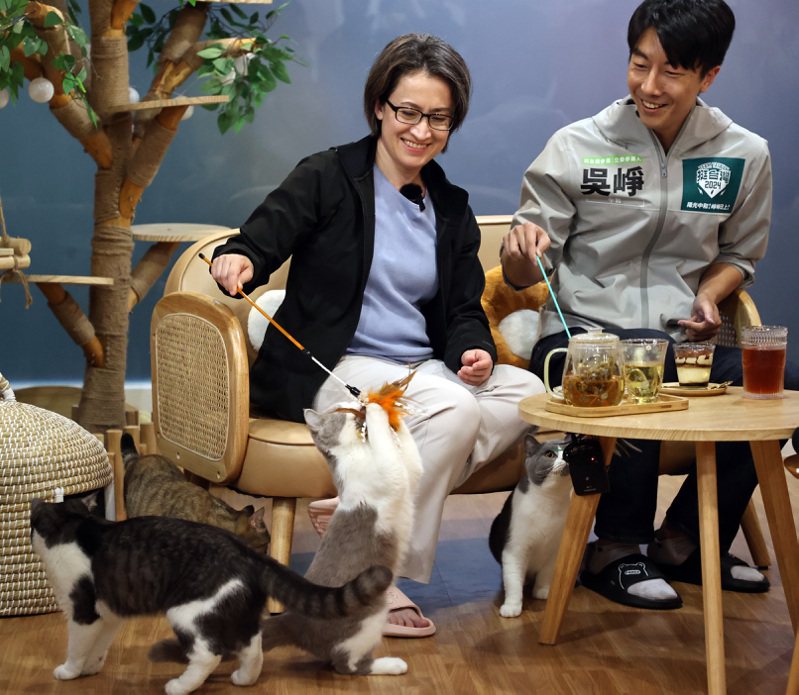 蕭美琴（左）今晚參訪新北中和區寵物友善咖啡廳，並與民進黨立委參選人吳崢針對公共議題進行交流，兩人手持逗貓棒與店內的貓互動。記者侯永全／攝影