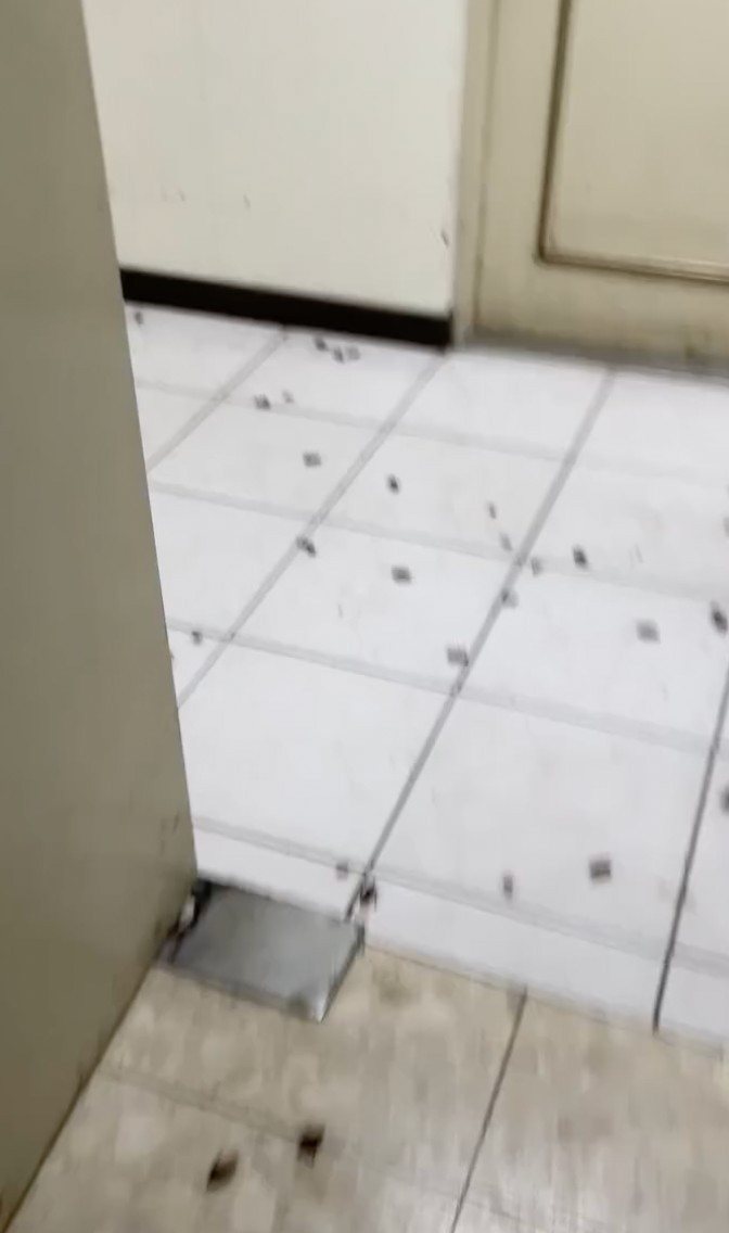 一名網友分享屋內都是蟑螂的影片，引來網友熱議。圖擷自爆料公社