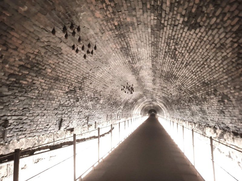 三貂嶺生態友善隧道以環境永續的方式活化歷史建築。記者李定宇／攝影