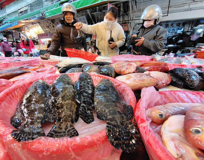 大陸海關總署決定恢復台灣地區石斑魚輸入，但稱須來自審核合格並予以註冊登記的養殖企業。國內傳統市場攤商表示，消息一出石斑魚進貨成本就被拉高。記者林澔一／攝影