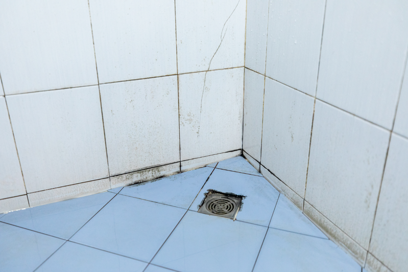 台灣天氣潮濕，浴室發霉讓不少人相當頭痛。 圖／canva