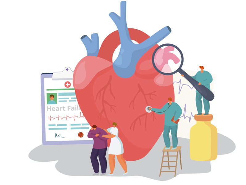 心臟是人體的引擎，所有血液都靠它輸送，如果血管不通暢就易產生全身性問題。圖／123RF