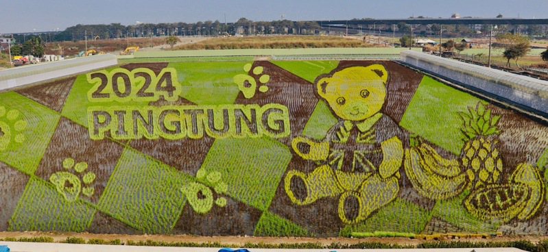 2024歐風彩稻來襲，屏東熱帶農業博覽會今年將於2月3日至3月3日登場，為期一個月，將以萌翻大人小孩的「精典泰迪熊」為主題。圖/屏東縣政府提供