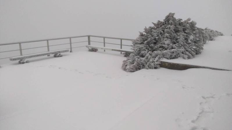 玉山昨夜下雪且持續中，氣溫零下1.8度，積雪5公分。圖／中央氣象署提供