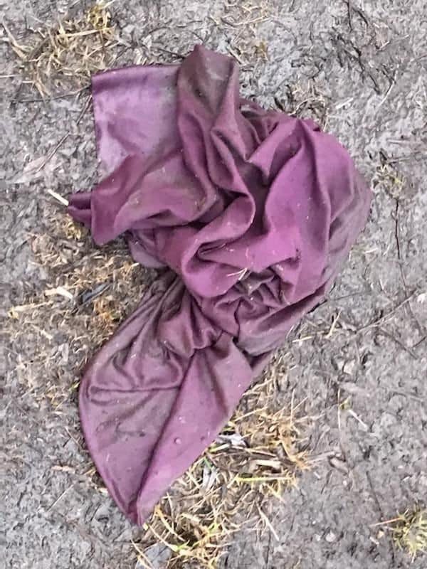 一名路人在路上看到一個紫色枕頭套在狂奔，起初還以為是自己眼睛看花活見鬼，後來追上去卻發現原來紫色枕頭套裡面竟綁著一隻可憐的黑色小貓。圖擷自臉書粉專「Niagara SPCA」