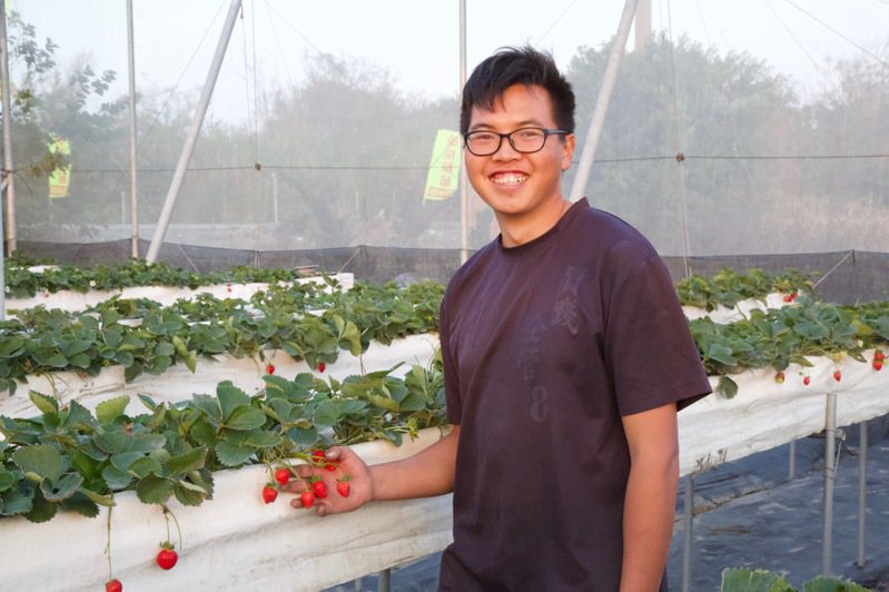 雲林縣四湖鄉農民吳一庭是八年級生，七年前大學企業系畢業，因為喜歡吃草莓，覺得草莓園是可以帶給大家歡樂的地方，返鄉在四湖偏鄉種草莓、百香果，打造「福家果園」品牌。圖／吳一庭提供
