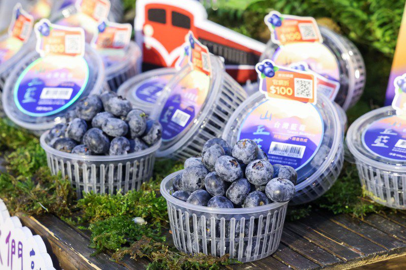一名網友分享，近日在超商買了「山丘藍台灣藍莓」，覺得十分好吃。 聯合報系資料照／記者吳致碩攝影