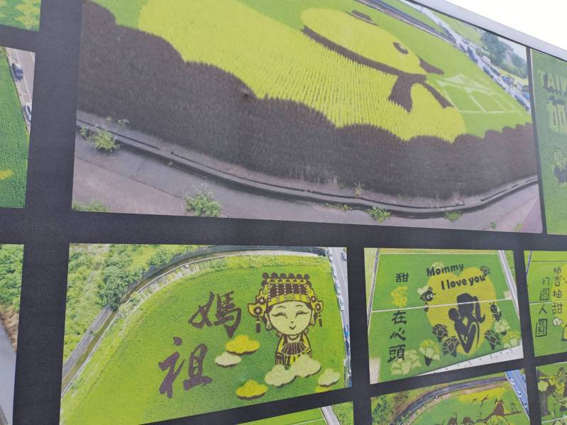 苑裡農會的稻田彩繪技術成熟，現場解說牌也紀錄了歷來稻田彩繪圖樣。記者吳傑沐／攝影