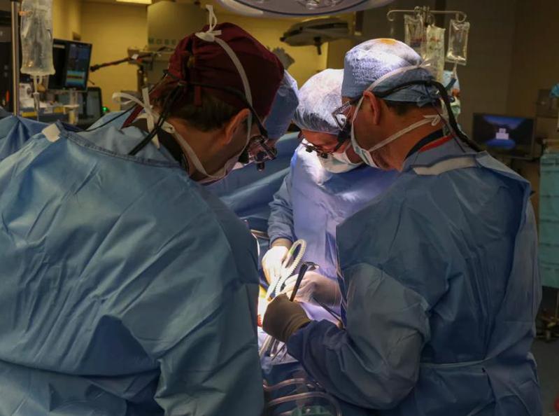 美国62岁男子斯莱曼（Richard Slayman）16日创下先例，成为首位成功接受基因改造猪肾移植手术的人类。取自YouTube(photo:UDN)