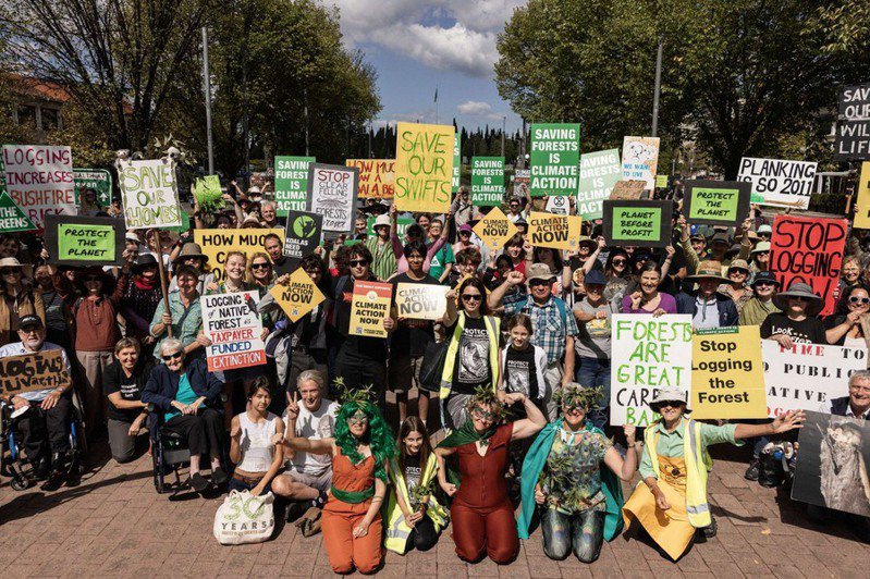 鮑勃布朗基金會組織近期舉辦「為森林抗爭」（March For Forests）示威，敦促澳洲政府停止原生森林砍伐。（Photo by Bob Brown Foundation）