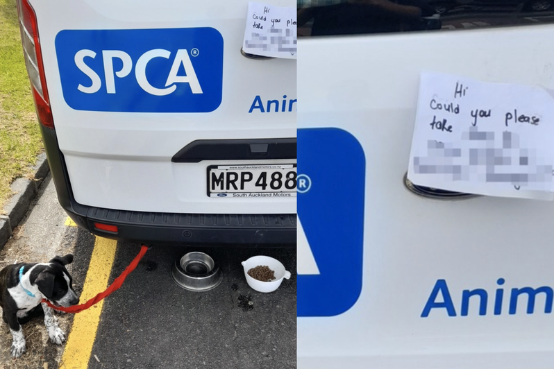 小狗被獨自拴在一輛協會員工所有的貨車後方，並留下一碗飼料與一張令人心碎的紙條。（圖／Facebook SPCA New Zealand）
