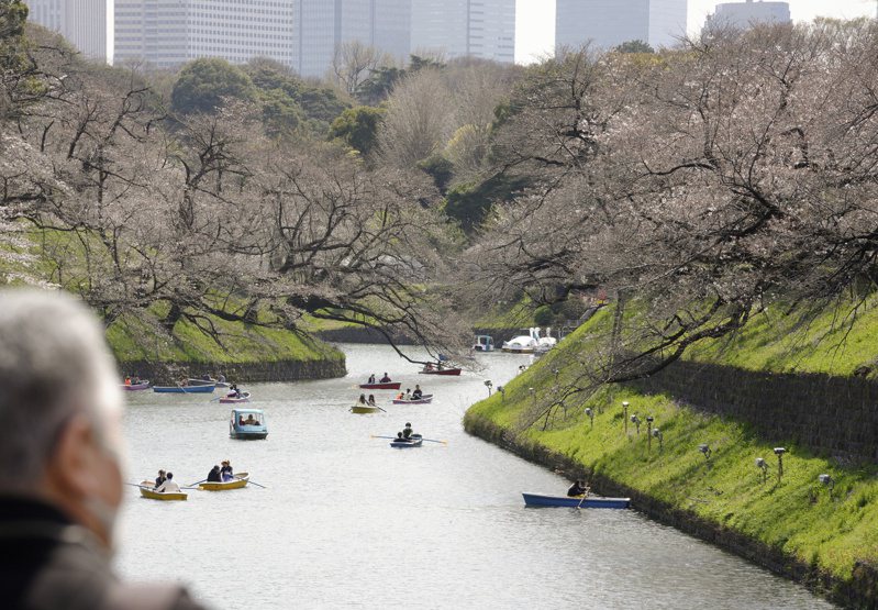 日本氣象廳今天宣布東京都染井吉野櫻盛開（滿開），時間點比往年平均慢了4天，相較2023年則晚了13天。圖為遊客乘船觀賞日本東京千鳥淵護城河上盛開的櫻花。歐新社