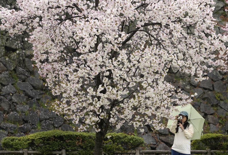 3月造訪日本的遊客人數年比增加69.5%，歷來首度突破300萬人次。歐新社
