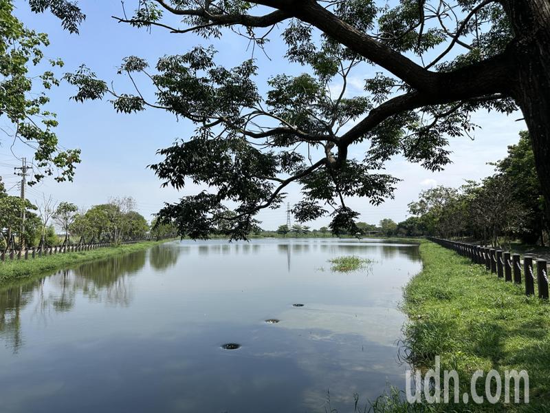 海豐溼地生態池經生態工法改造，成為休憩空間。記者劉星君／攝影