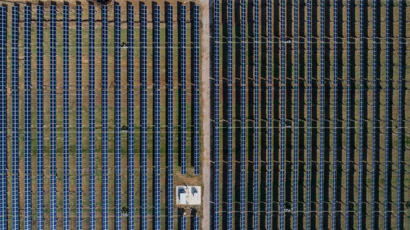 大陆太阳能企业隆基绿能董事长钟宝申预期，部分表现不佳的太阳能相关企业恐将面临淘汰出局的命运。（图／取自隆基绿能网站）