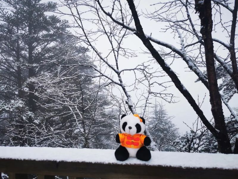 大陸五一小長假的第一天，許多遊客在四川山區都遇到降雪。（圖／取自《封面新聞》）
