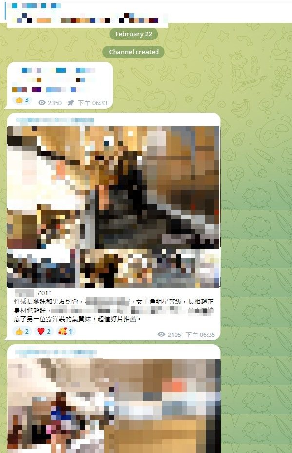 去年2月起，廖男转往Telegram经营频道，将这几年取得的影像编号、分类后，供频道买家浏览选购，频道会员多达300多人。记者张议晨／翻摄