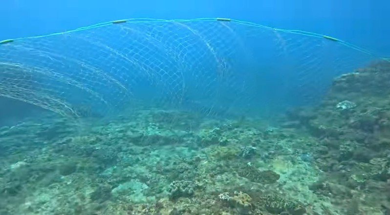 有潛水教練在墾丁後壁湖海洋資源保護區，發現長10公尺漁網在珊瑚礁上方漂動，擔心遭覆蓋、扯壞珊瑚礁，隨即移除。圖／民眾提供