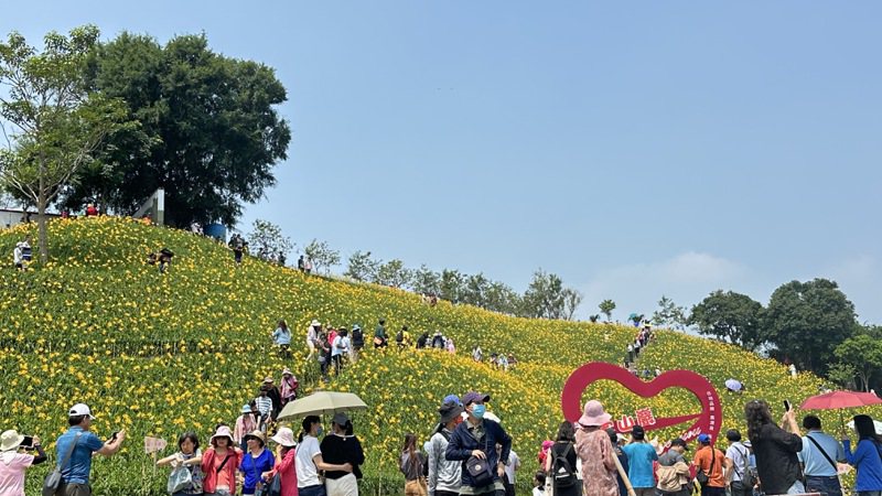 彰化花坛虎山岩的金针花盛开，涌来数千赏花人潮。记者刘明岩／摄影