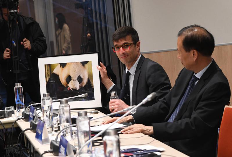 四月卅日巴黎舉行中法高級別人文交流論壇。圖為法國博瓦勒野生動物園園長德洛爾展示全球徵集活動的作品—中國旅法大熊貓「圓夢」剛出生時和媽媽「歡歡」的合影。（中新社）
