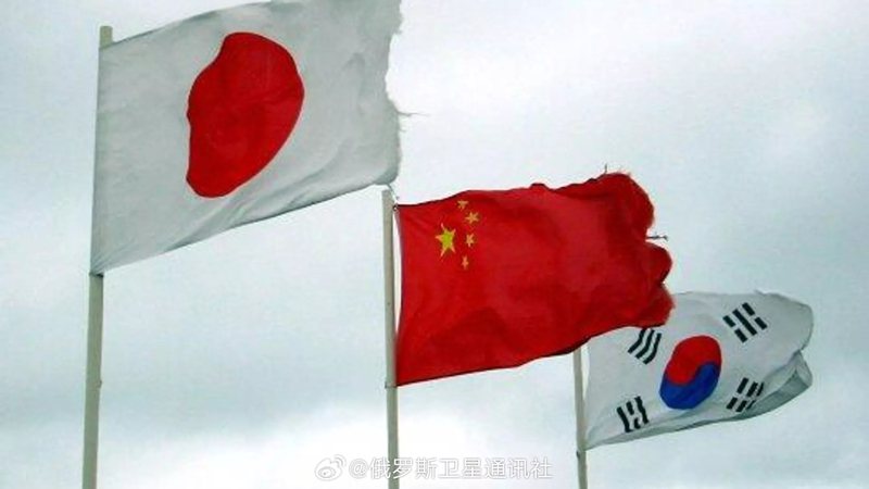 韓聯社援引南韓外交部4日消息稱，中日韓正就本月26日至27日在首爾舉行三國領導人會議進行最終協調。（圖／取自俄羅斯衛星通訊社微博）