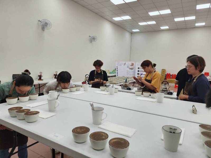 南市国产精品咖啡评鉴今揭晓，本周三办生豆媒合会。图 ／东山区农会提供