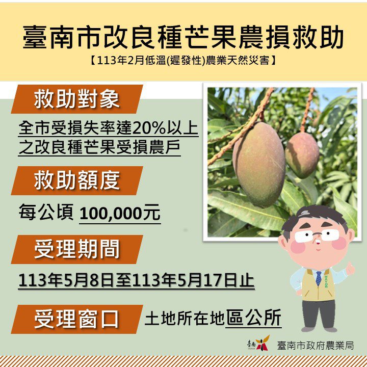 农业部今晚公告台南改良芒果损失逾2成，列为现金救助对象，每公顷救助10万元，8日起至17日受理申报。图 ／台南市政府农业局提供
