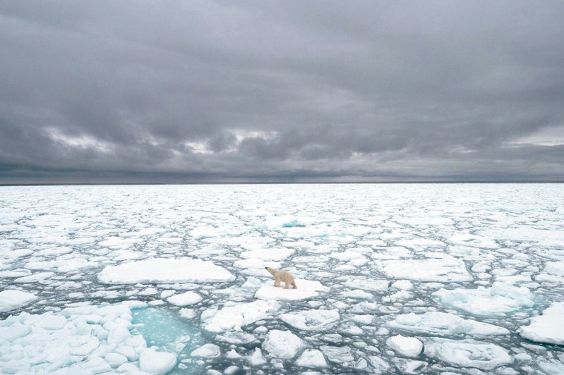 北極熊悲歌 近一年來海溫持續破紀錄的現象引發科學家關注。圖為一隻北極熊站在挪威斯瓦巴北方一片海冰上，攝於二○一八年。（美聯社）