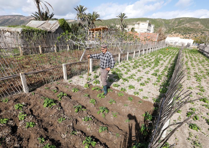 在突尼西亚海岸小镇加尔梅尔的潟湖区域，农民表示受海水水位上升和暖化影响，加上雨水减少，农产收成益见惨淡。（路透）(photo:UDN)