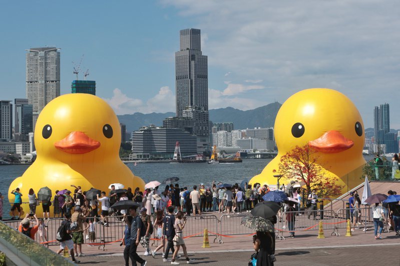 「橡皮鴨二重暢」掀起大黃鴨熱潮，香港不同機構跟風搶進，出現「黃鴨經濟」，成為「維港經濟」的一角。（中通社）