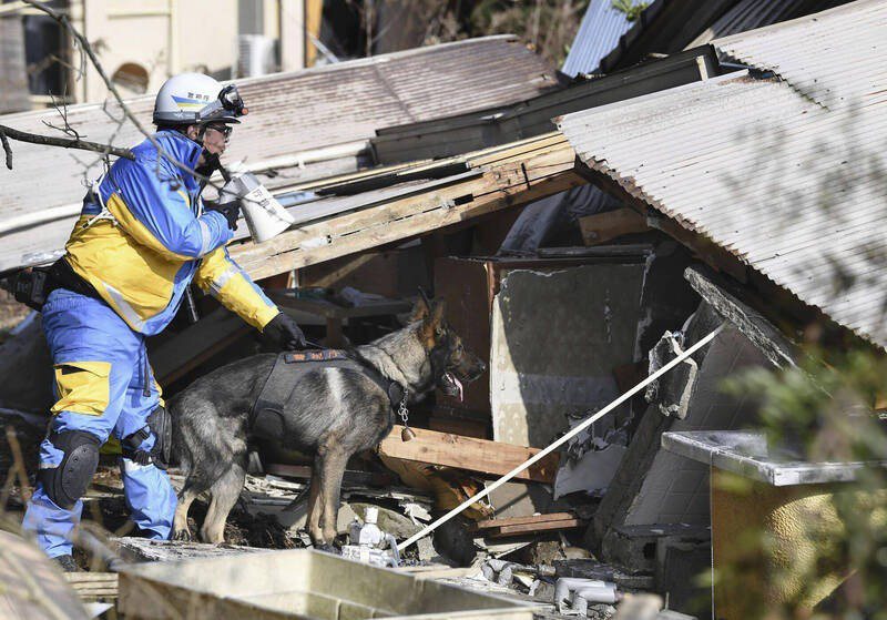 日本石川縣能登半島最北端的珠洲市，警方帶著搜救犬，持續在瓦礫堆中尋找生還者。（美聯社）