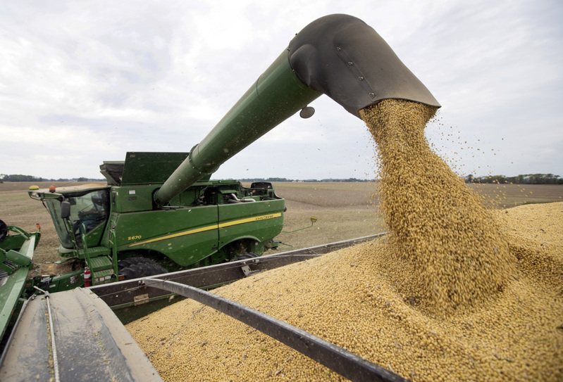 中美農業聯委會第七次會議後，美國農業部確認中方採購近30萬噸大豆。(美聯社)