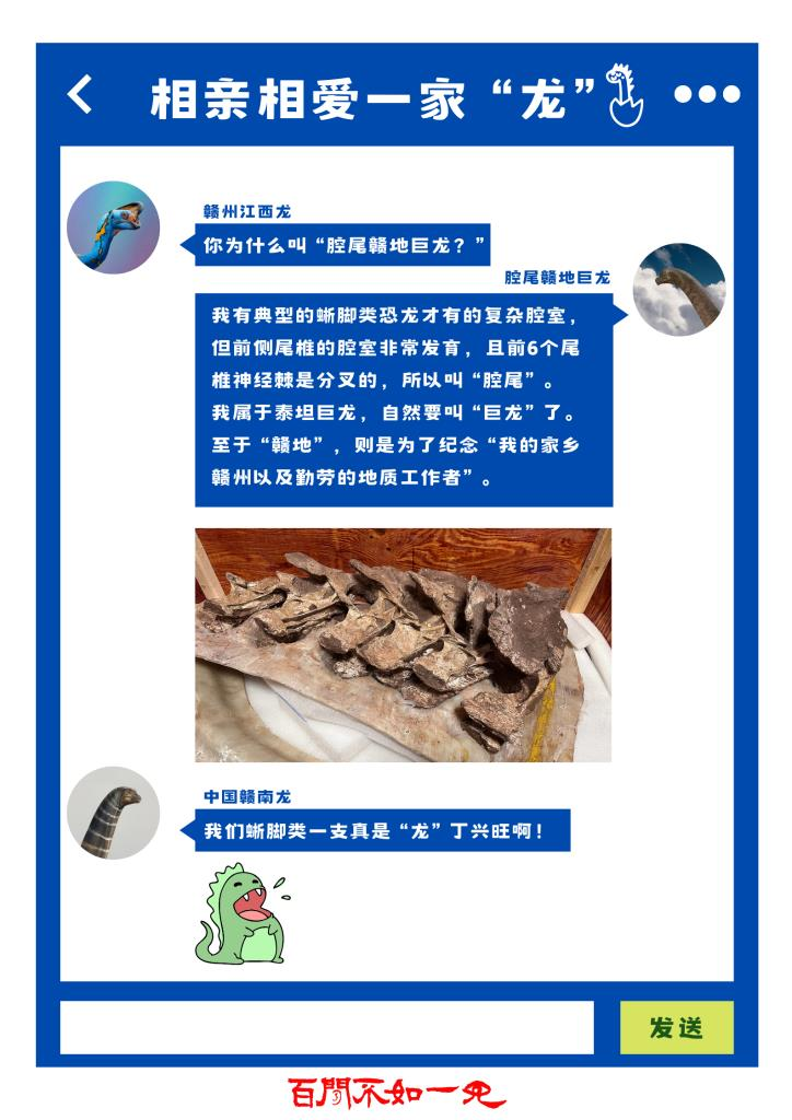 「系統古生物學期刊」近日將2021年在江西省發現的恐龍化石，認定是蜥腳類恐龍的新屬種，並命名為「腔尾贛地巨龍」。（新華社）