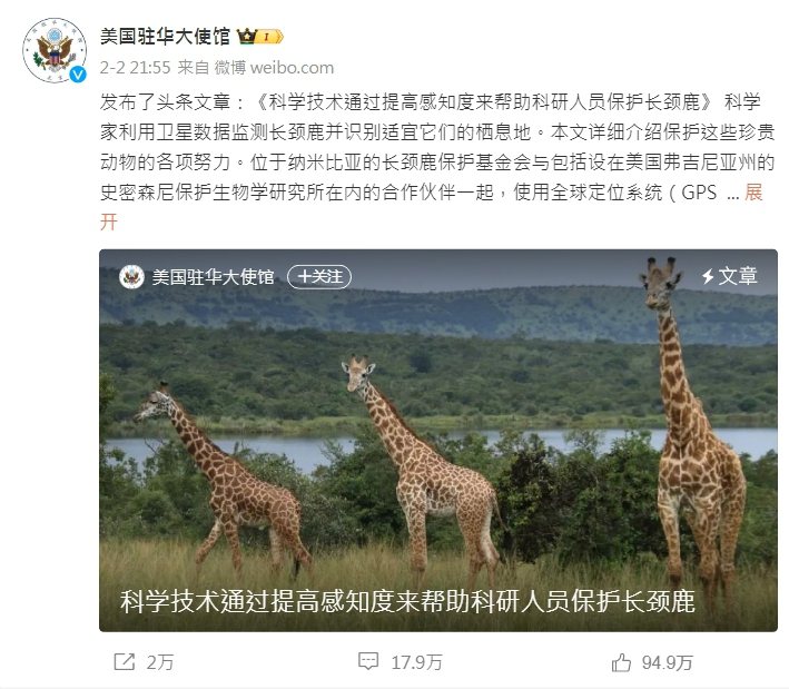 中國股民湧到美駐中大使館微博一條有關保護長頸鹿貼文下，留言批評中國政府，被戲稱為「長頸鹿事件」。(取材自微博)