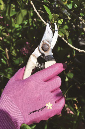 園藝用手套較為厚實，可保護手部。提供／采實文化