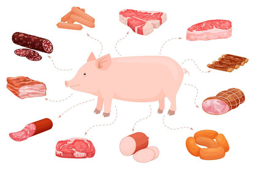 豬是從頭到腳都是寶，但各部位肉質不同，烹調時大有學問。影響口感的因素主要在於肉質...
