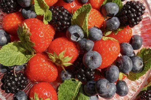草莓豐富的維生素C與植化素，有很好的抗氧化性。 圖／韋恩的食農生活提供