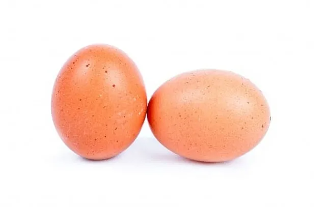 雞蛋示意圖。 圖／google圖片