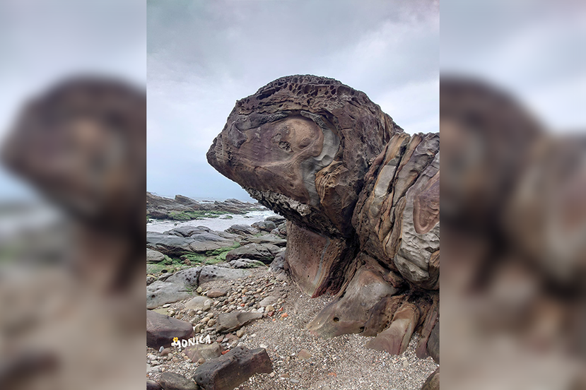 基隆外木山「海龜石」是一座神似「大海龜」的岩石。 圖／Monica Hsu