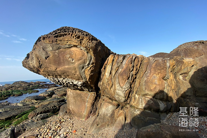 基隆外木山「海龜石」是一座神似「大海龜」的岩石。 圖／基隆海嗨編輯室攝影