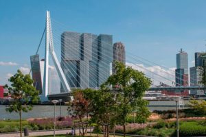 城市因開放協作而充滿韌性──荷蘭鹿特丹打造「數位分身」，公民更容易為城市提出好點子